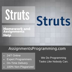 Struts Assignment Help
